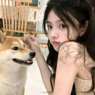 灵犬雪莉2：冒险再出发 封面